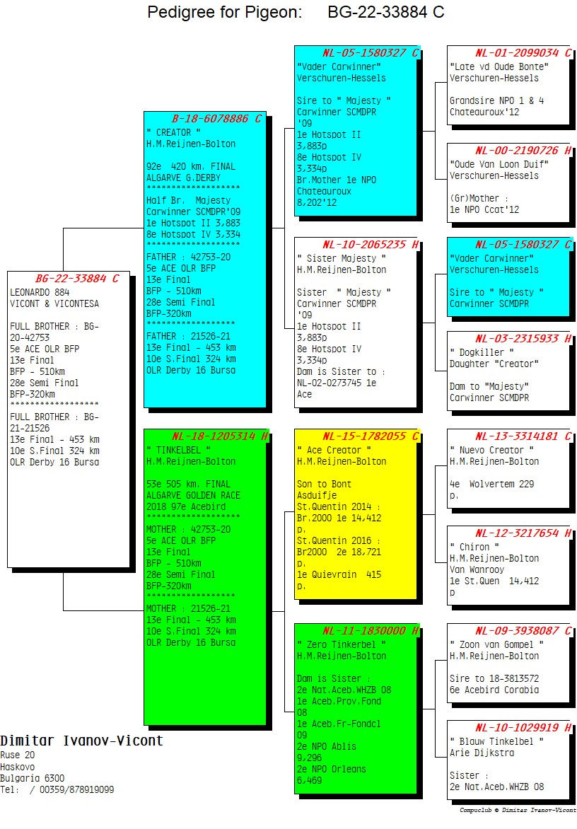 BG22-33884 ERKEK / LEONARDO 884