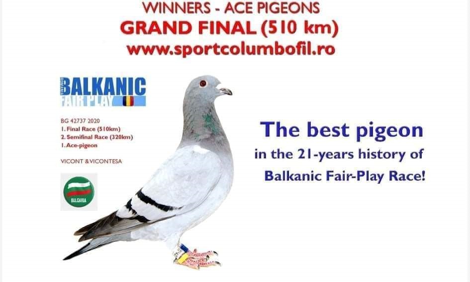 BG22-33890 DİŞİ / GOLDEN ALFON 890 