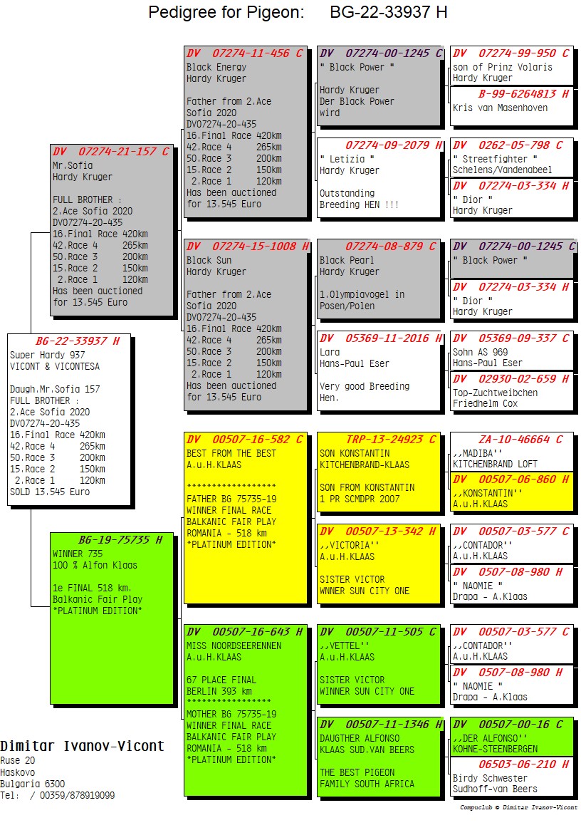 BG22-33937 DİŞİ / SUPER HARDY 937