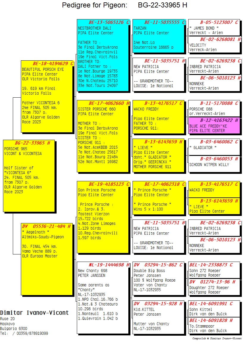 BG22-33965 DİŞİ / PORSCHE  965 