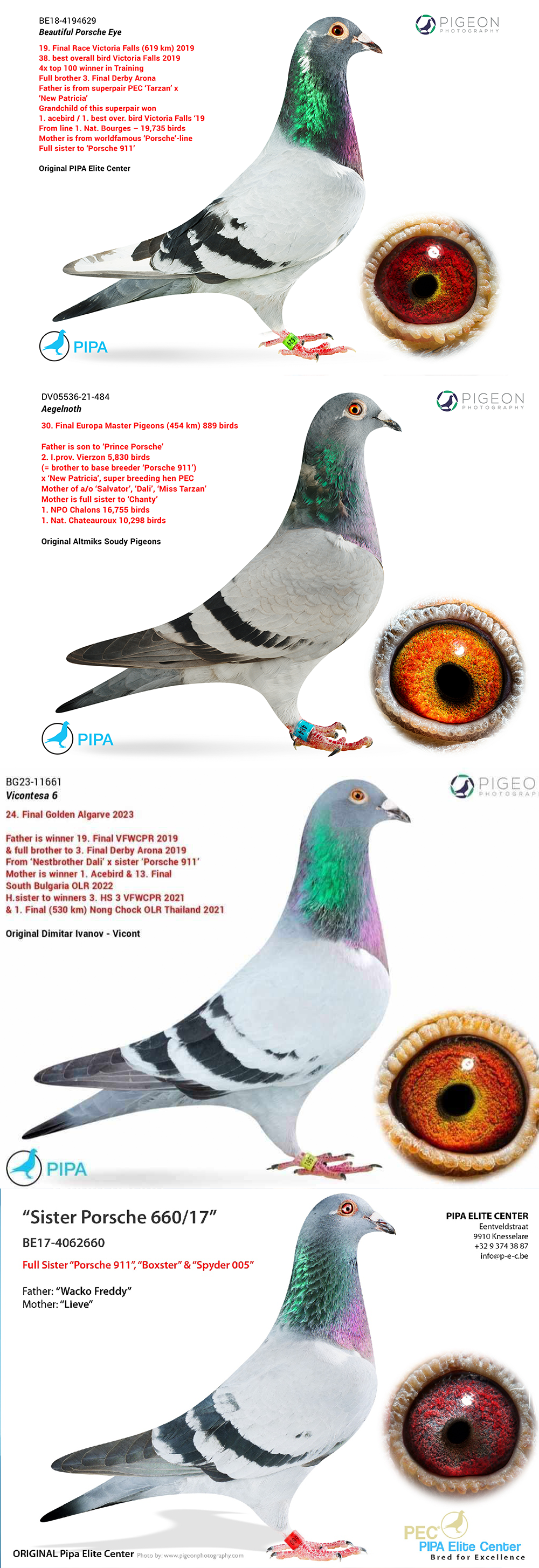 BG22-33965 DİŞİ / PORSCHE  965 