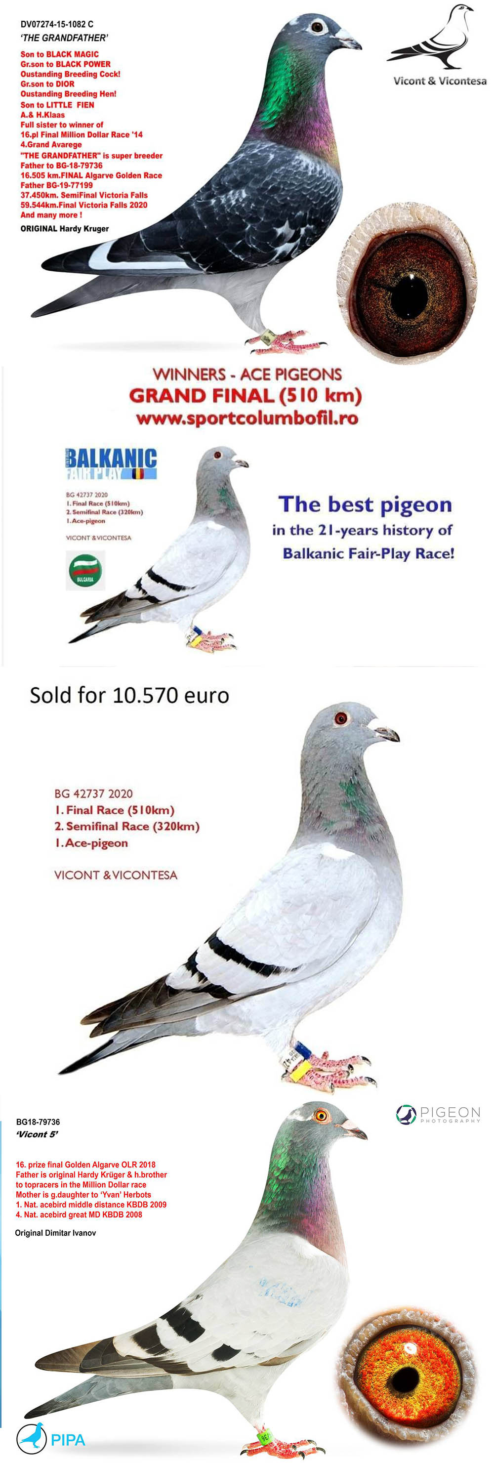 BG22-33971 DİŞİ / HARDY KRUGER X ALFON KLAAS 