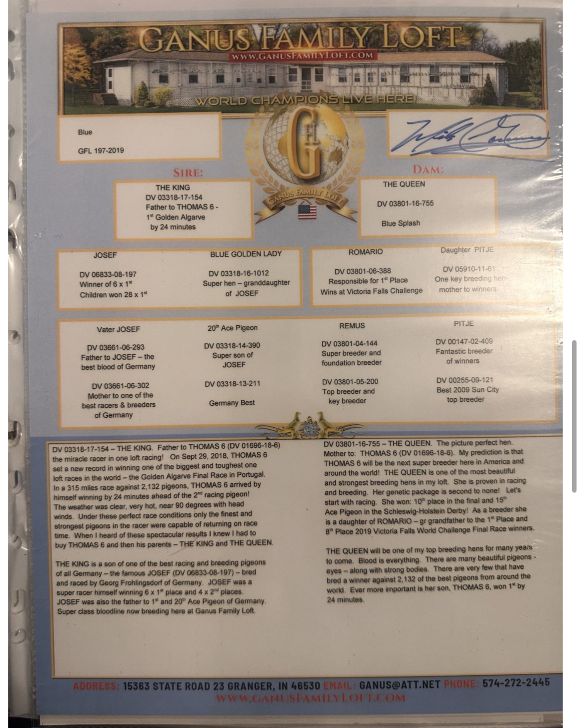 BG22-58544 ERKEK / ANNESİNİN TAM KARDEŞİ THOMAS 6 