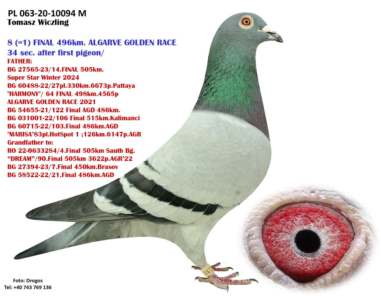 BG22-58544 ERKEK / ANNESİNİN TAM KARDEŞİ THOMAS 6 