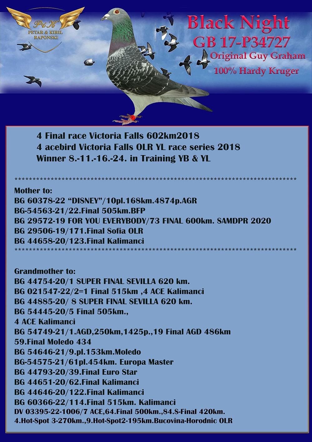 BG22-60639 DIŞI / KENDİSİ 30 FİNAL -  ANNESİ BLACK NİGHT BABASI JULİA X BLOOD  TO WIN