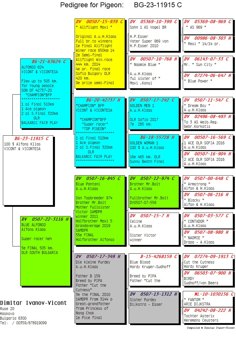 BG23-11915 ERKEK / ALFONS 915