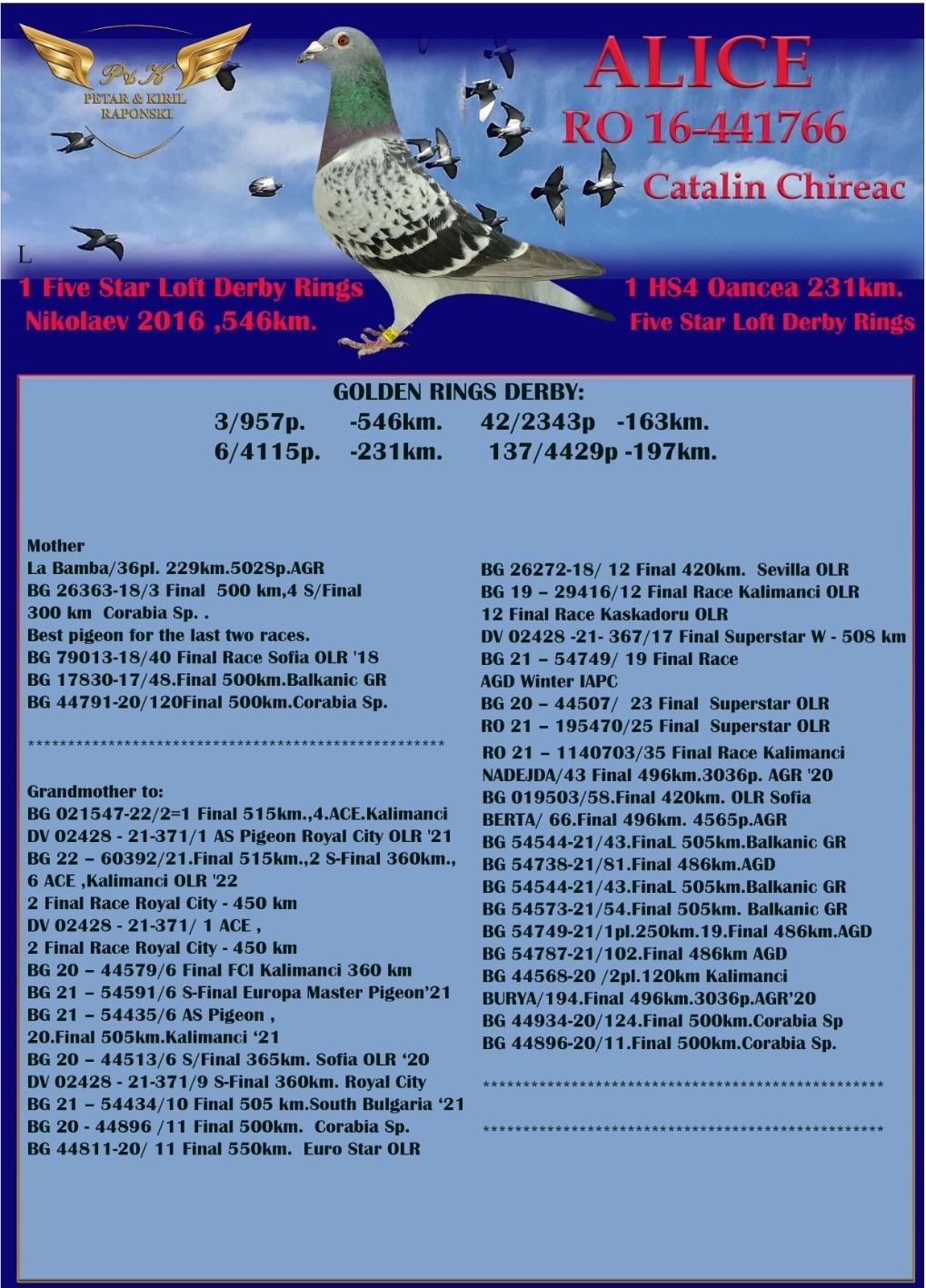 BG23-27421 ERKEK / KENDİSİ 76 FİNAL 470 KM - JULIA TORUNU ALFA OĞLU ANNESİ THOMAS 6 KIZ KARDEŞİ