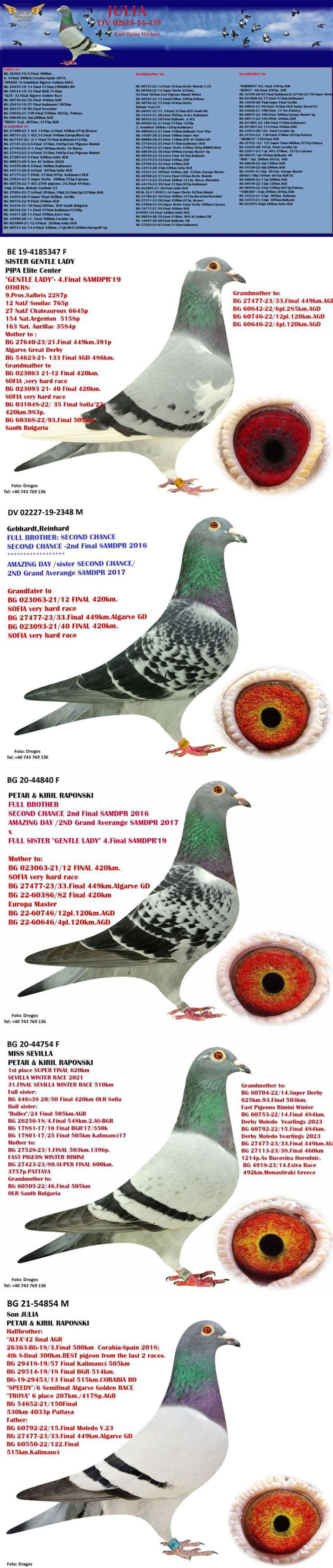 BG23-27477 ERKEK / KENDİSİ 2 SEZON YARIŞMIŞ FİNAL 33 