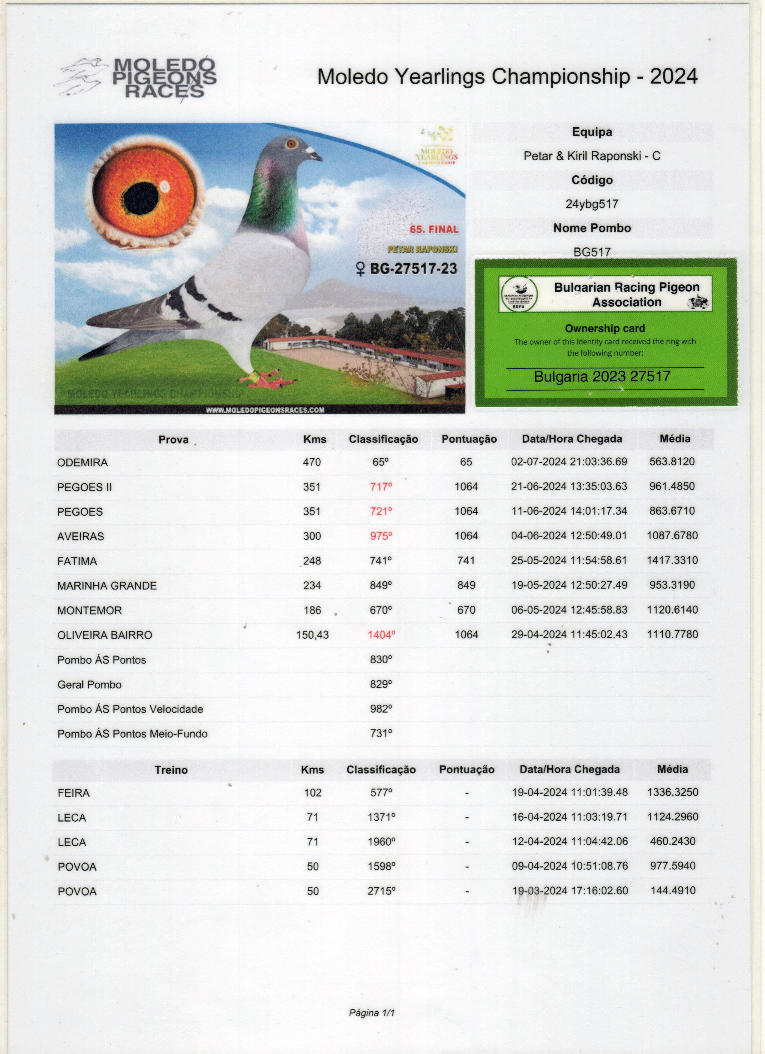 BG23-27517 DİŞİ / KENDİSİ 65 FİNAL MOLEDO