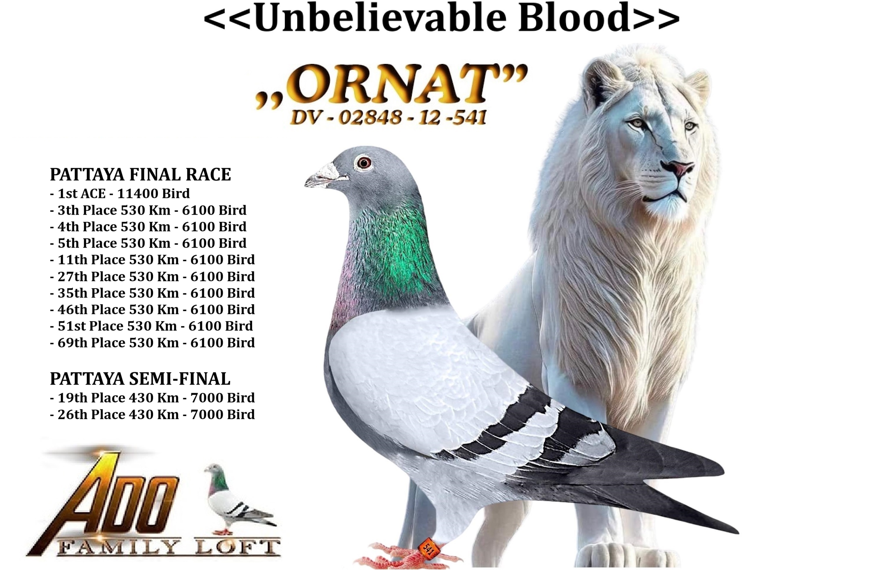 BG24-45353 DİŞİ / ORNAT TORUNU ANNESİ ALDA ANNDEN KARDEŞİ FİNAL 12 MOLEDO