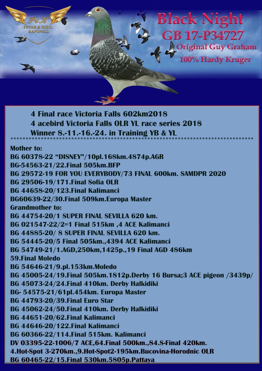 BG24-45452 ERKEK / BABASININ TAM KARDEŞİ 4 FİNAL KALIMANCI 3 ACE PİGEON 