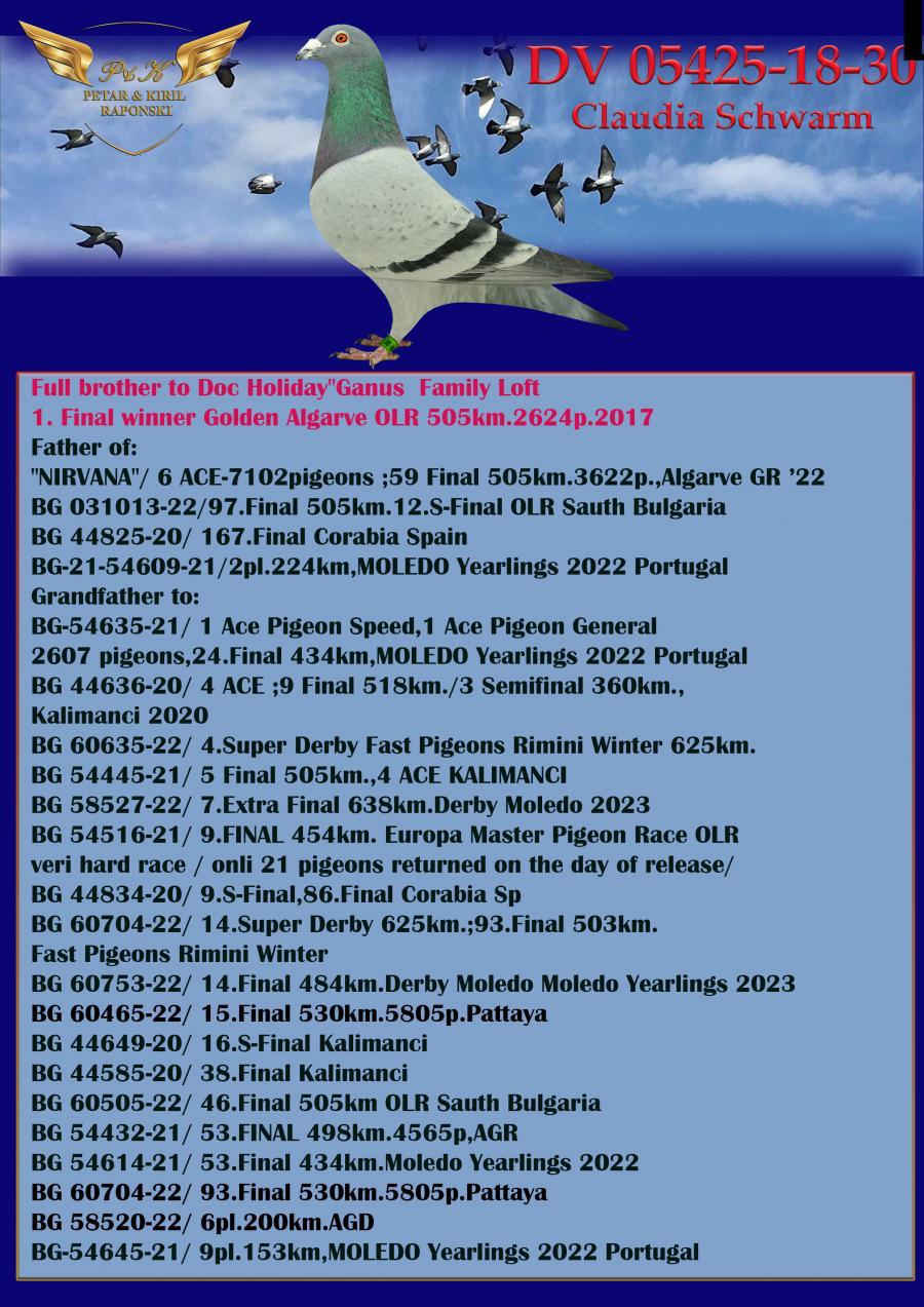BG24-45452 ERKEK / BABASININ TAM KARDEŞİ 4 FİNAL KALIMANCI 3 ACE PİGEON 