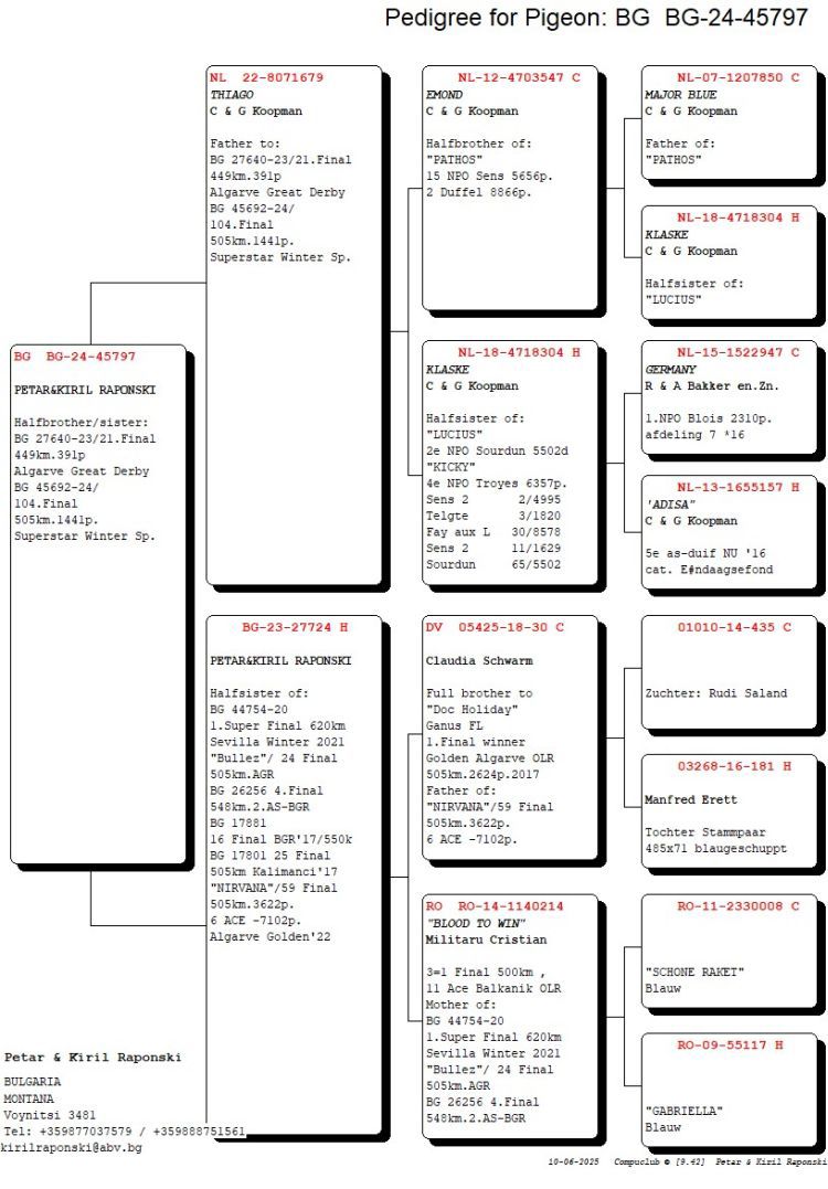 BG24-45797 DİŞİ /  KENDİSİ YARIŞMIŞ 531 K M BABASI % 100 KOOPMAN 