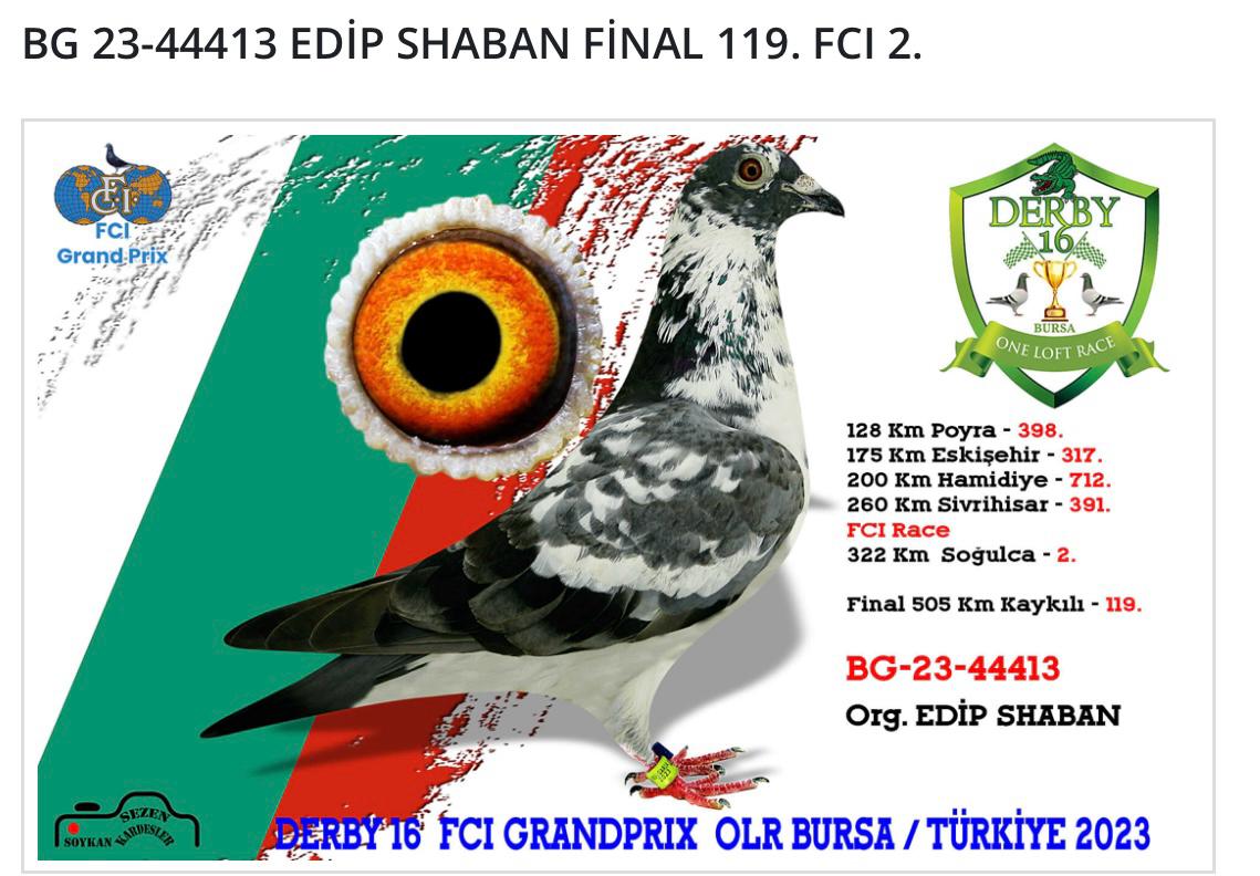 BG24-66935 ERKEK / KENDİSİ 63 FİNAL DERBY16  BABASI 2 SEMİFİNAL DERBY16 EDİP SHABAN