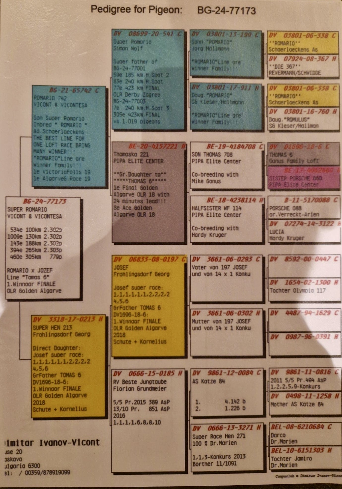 BG24-77173 ERKEK / KENDİSİ YARIŞMIŞTIR JOSEF TORUNU