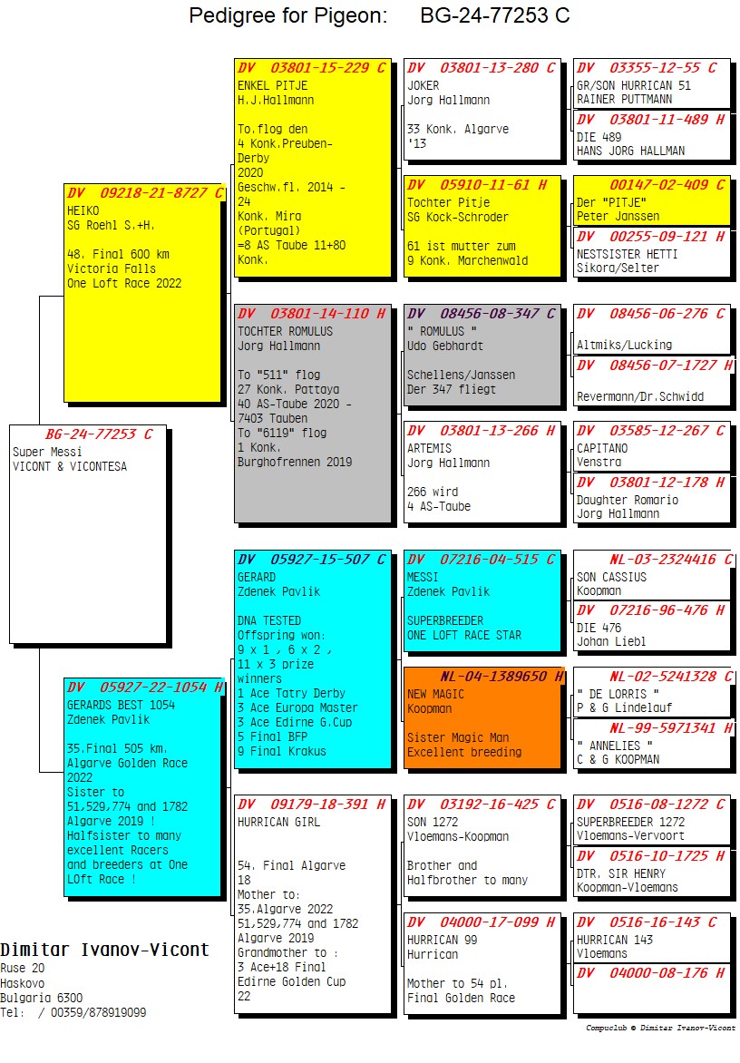 BG24-77253 ERKEK / SUPER MESSI 253 