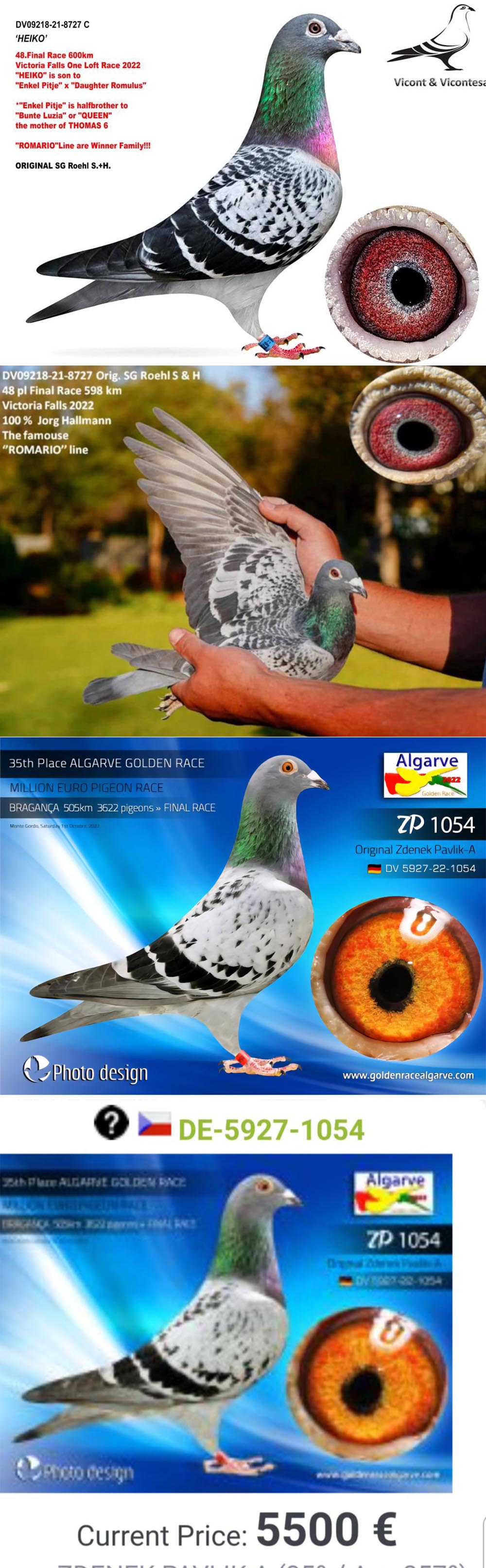 BG24-77253 ERKEK / SUPER MESSI 253 