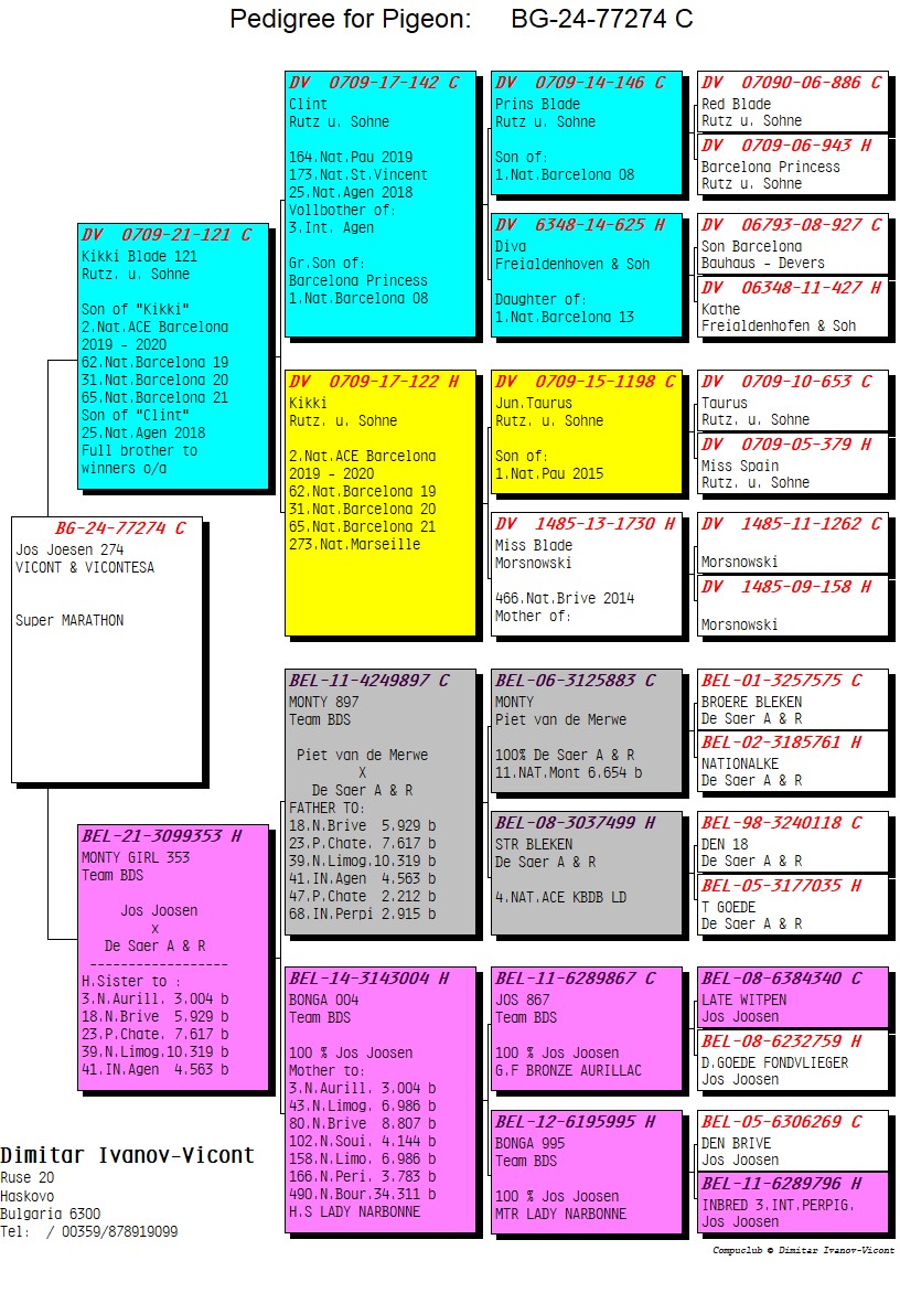 BG24-77274 ERKEK / JOS JOESEN 274