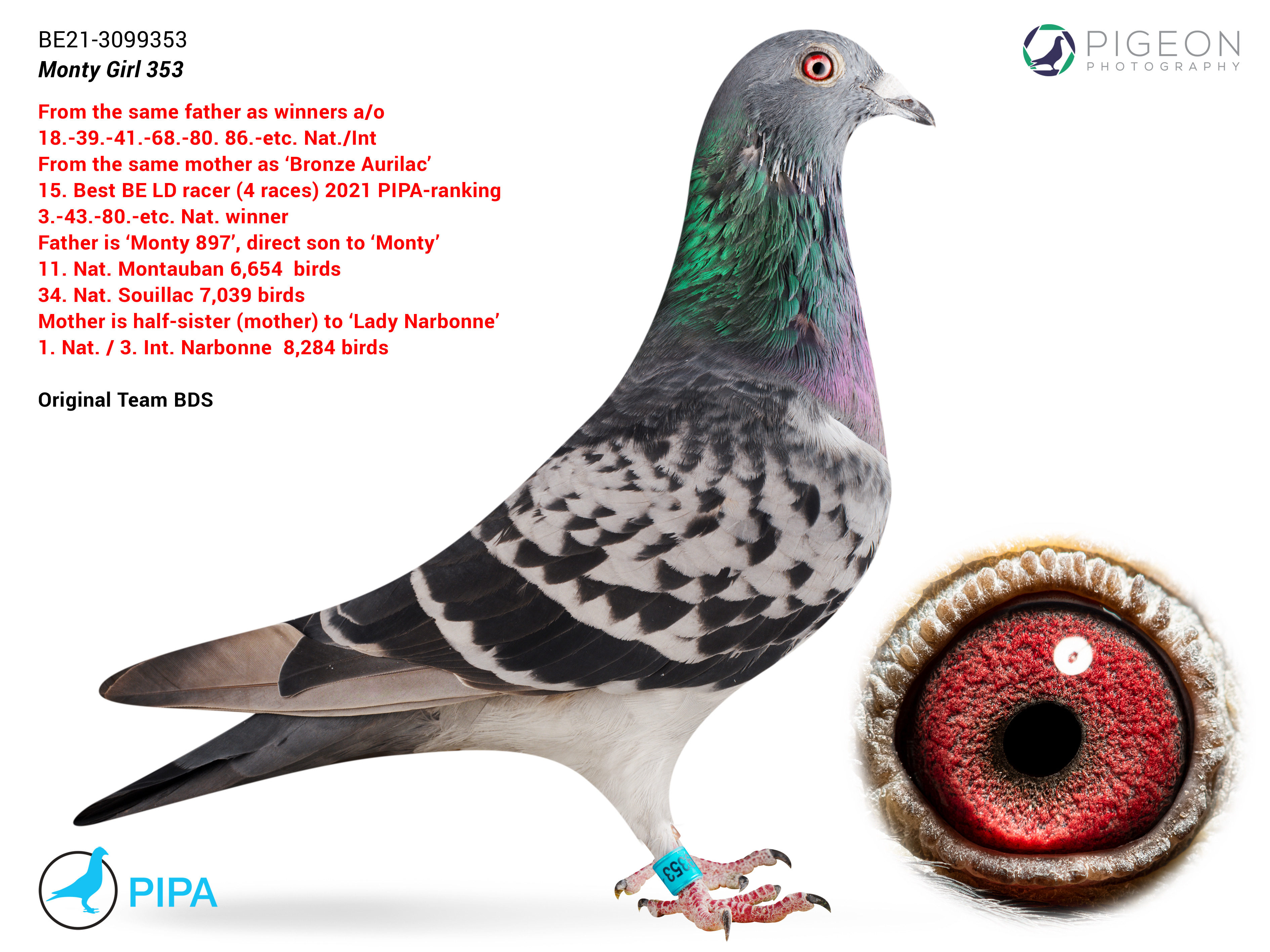 BG24-77274 ERKEK / JOS JOESEN 274