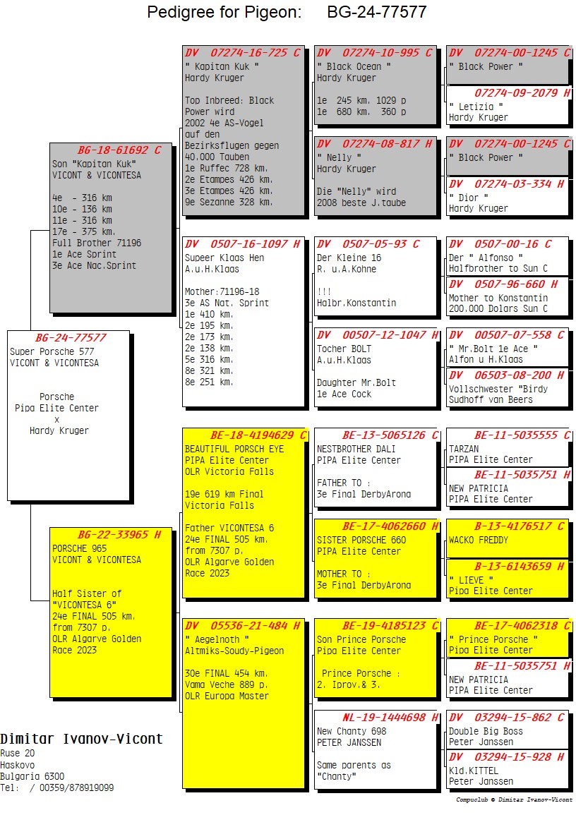 BG24-77577 DİŞİ / SUPER PORSCHE HARDY 577