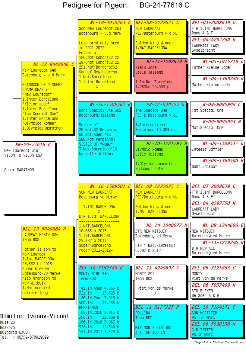 BG24-77616 ERKEK / NEW LAUREAAT 616 
