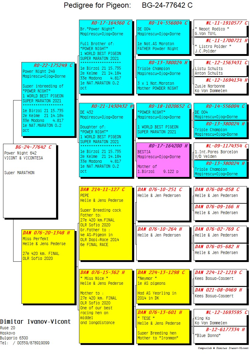 BG24-77642 ERKEK / POWER NİGHT 642 