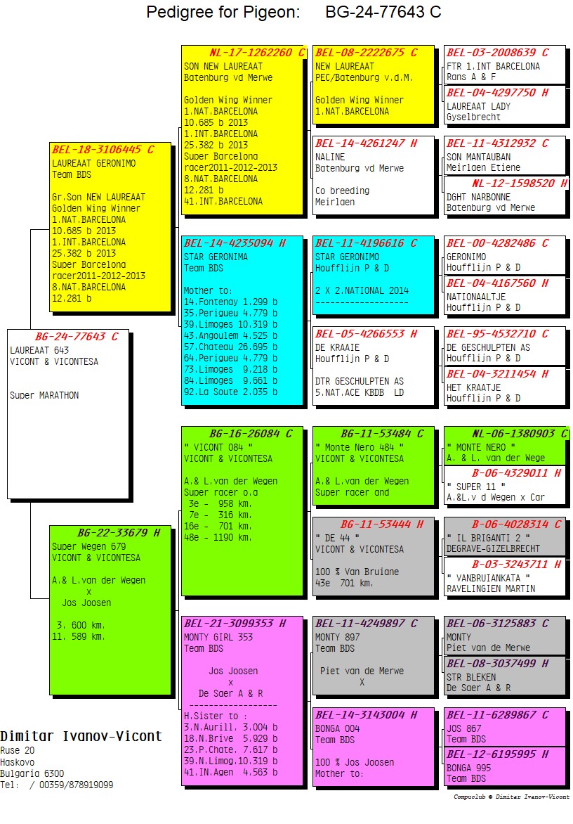 BG24-77643 ERKEK / LAUREAAT  643
