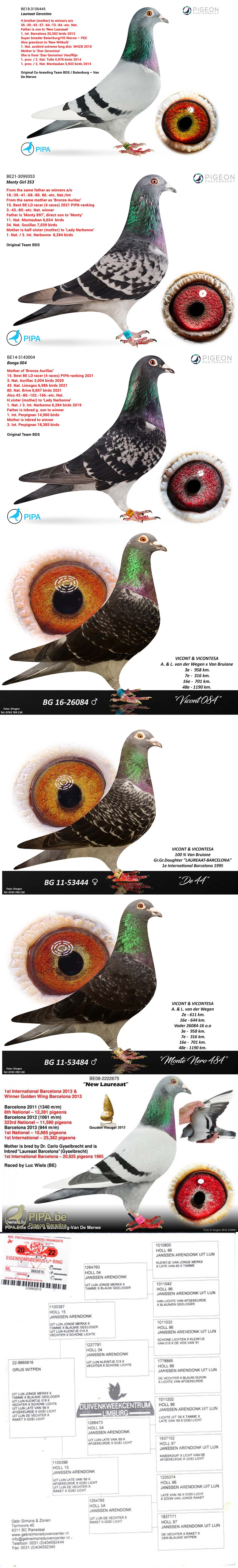 BG24-77644 DİŞİ / LAUREAAT 644