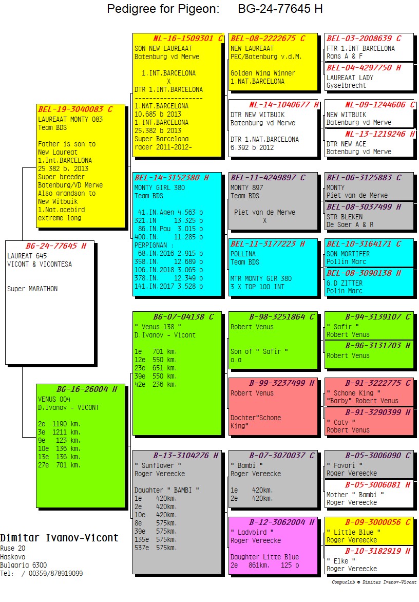 BG24-77645 DİŞİ / LAUREAT 645 