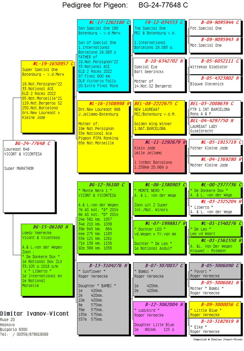 BG24-77648 ERKEK / LAUREAAT 648