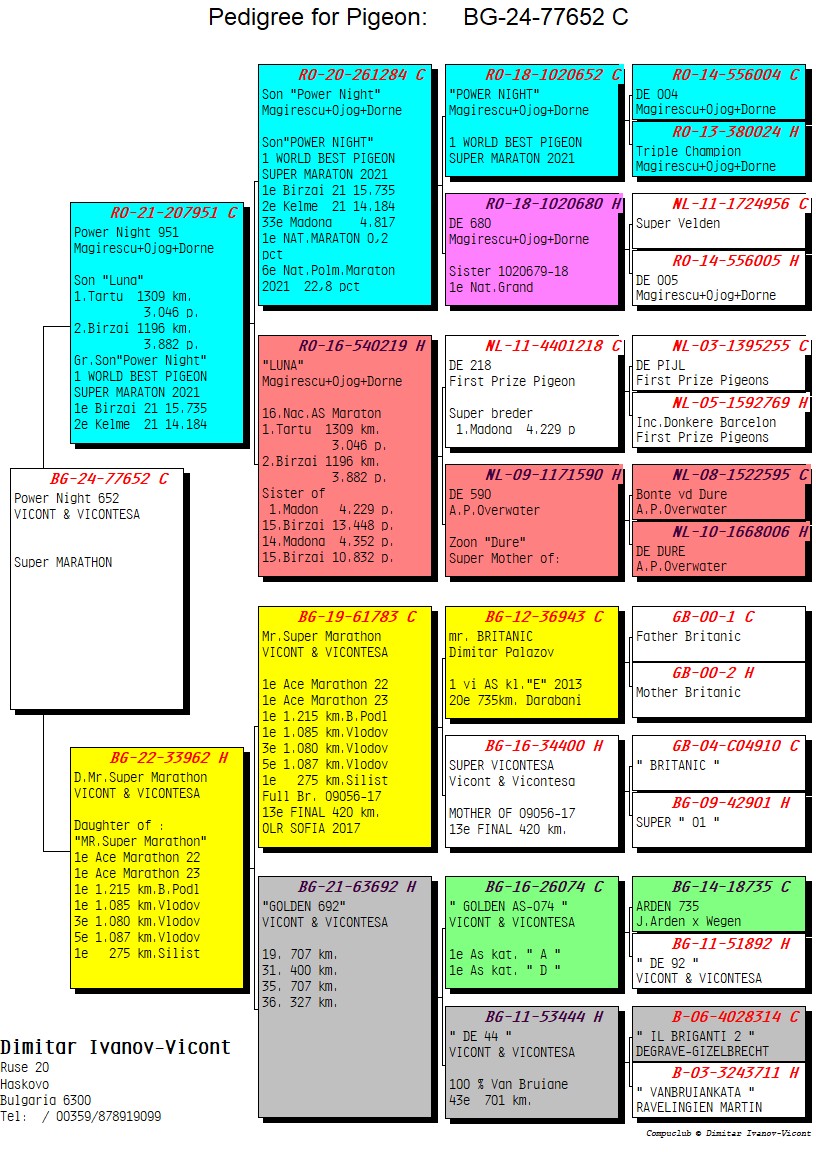 BG24-77652 ERKEK / POWER NİGHT 652