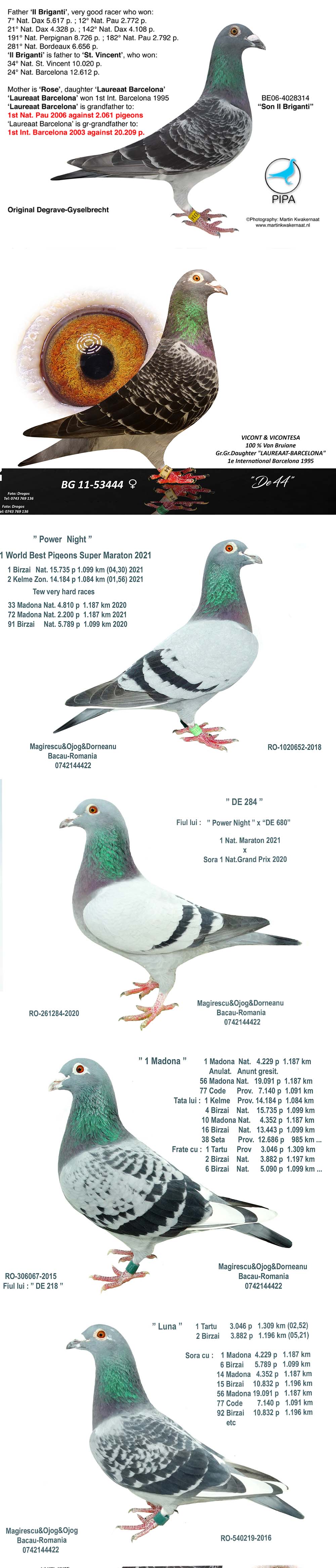 BG24-77652 ERKEK / POWER NİGHT 652