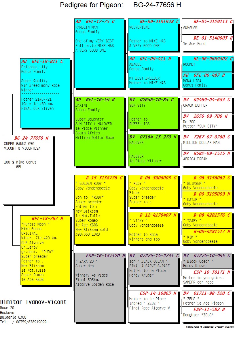 BG24-77656 DİŞİ / SUPER GANUS 656