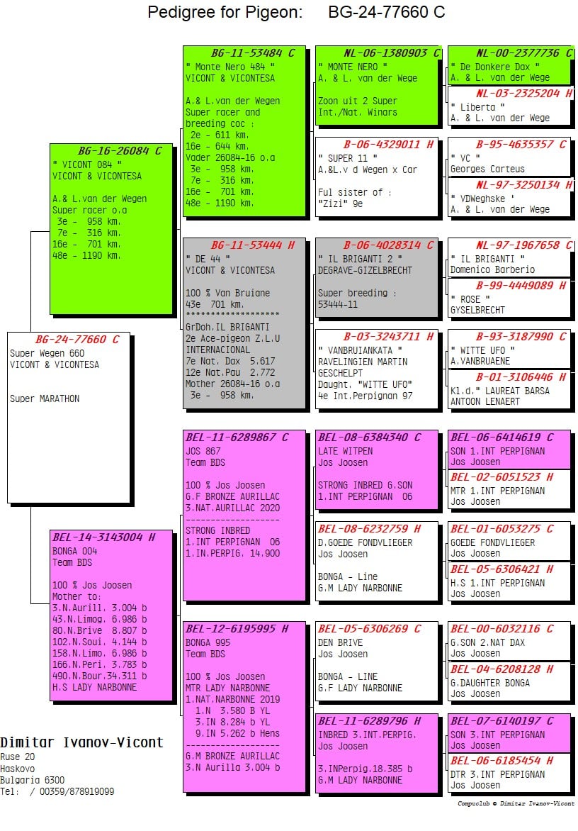 BG24-77660 ERKEK / SUPER WEGEN 660