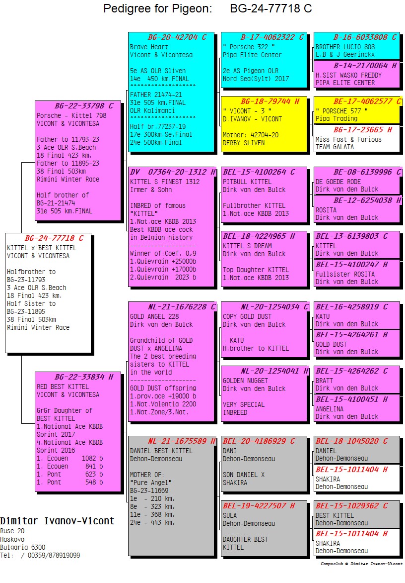 BG24-77718 ERKEK / PERFEKT KITTEL 718