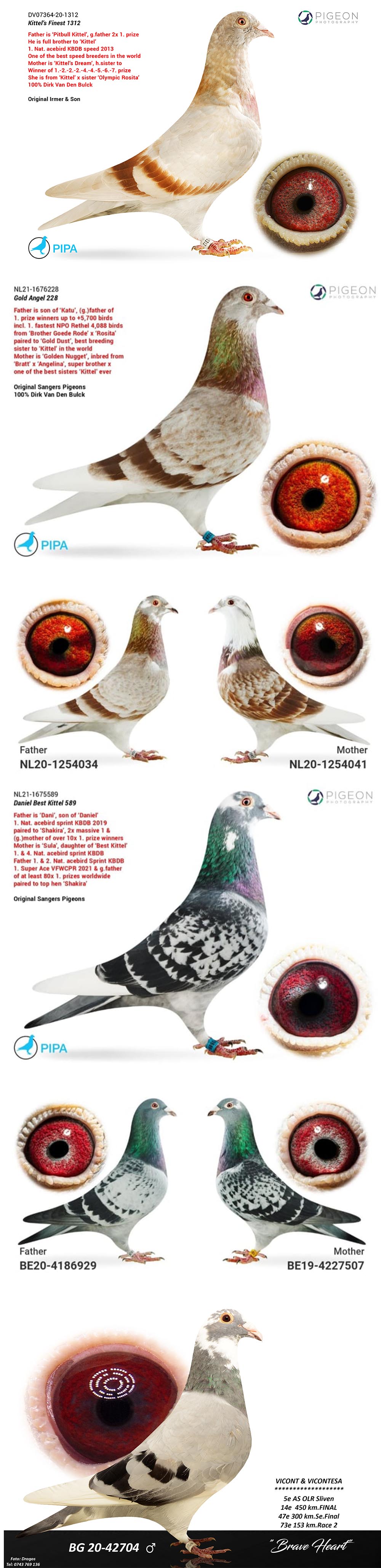 BG24-77718 ERKEK / PERFEKT KITTEL 718