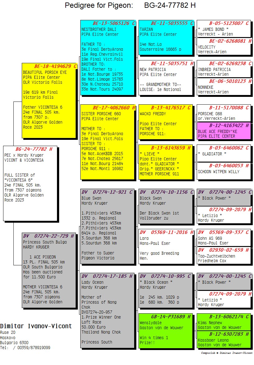 BG24-77782 DİŞİ / FULL SİSTER 24 FİNAL 505 KM