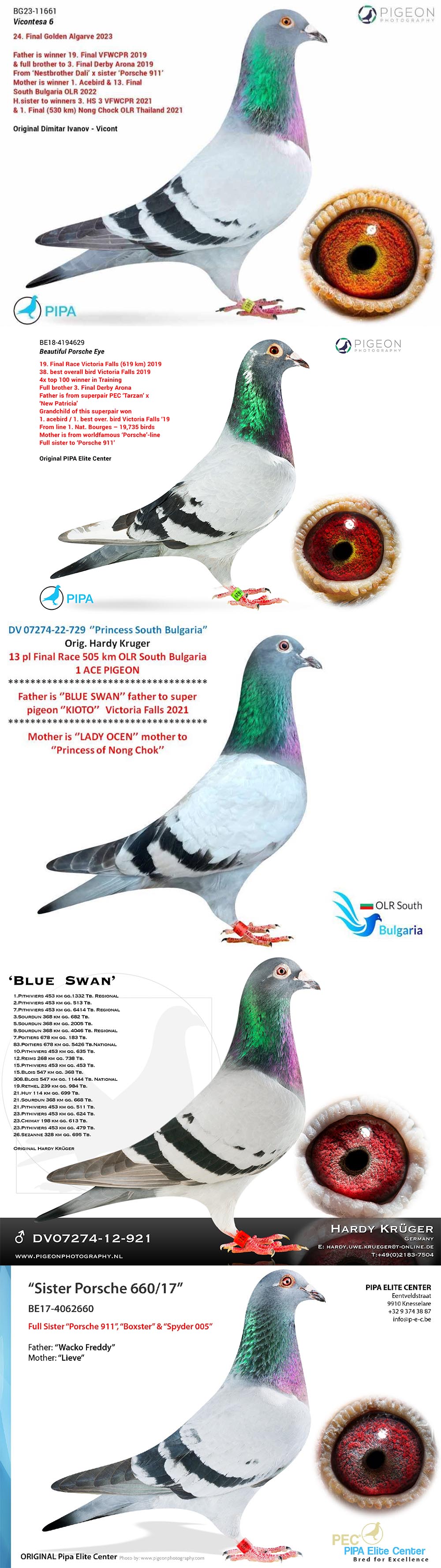 BG24-77782 DİŞİ / FULL SİSTER 24 FİNAL 505 KM