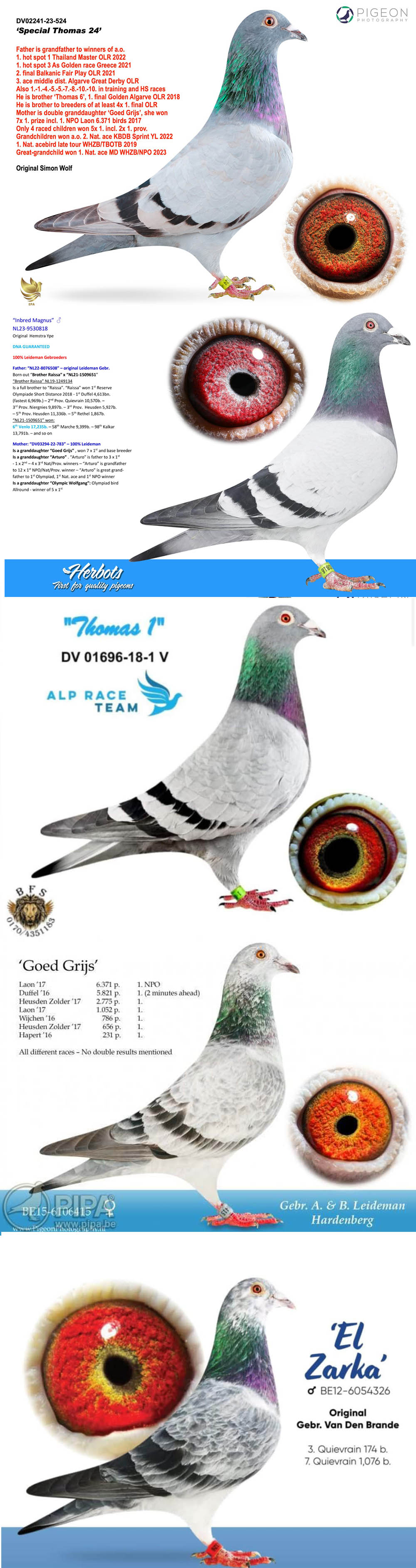 BG24-77803 ERKEK / THOMAS 1 TORUNU - GERB LEIDEMAN