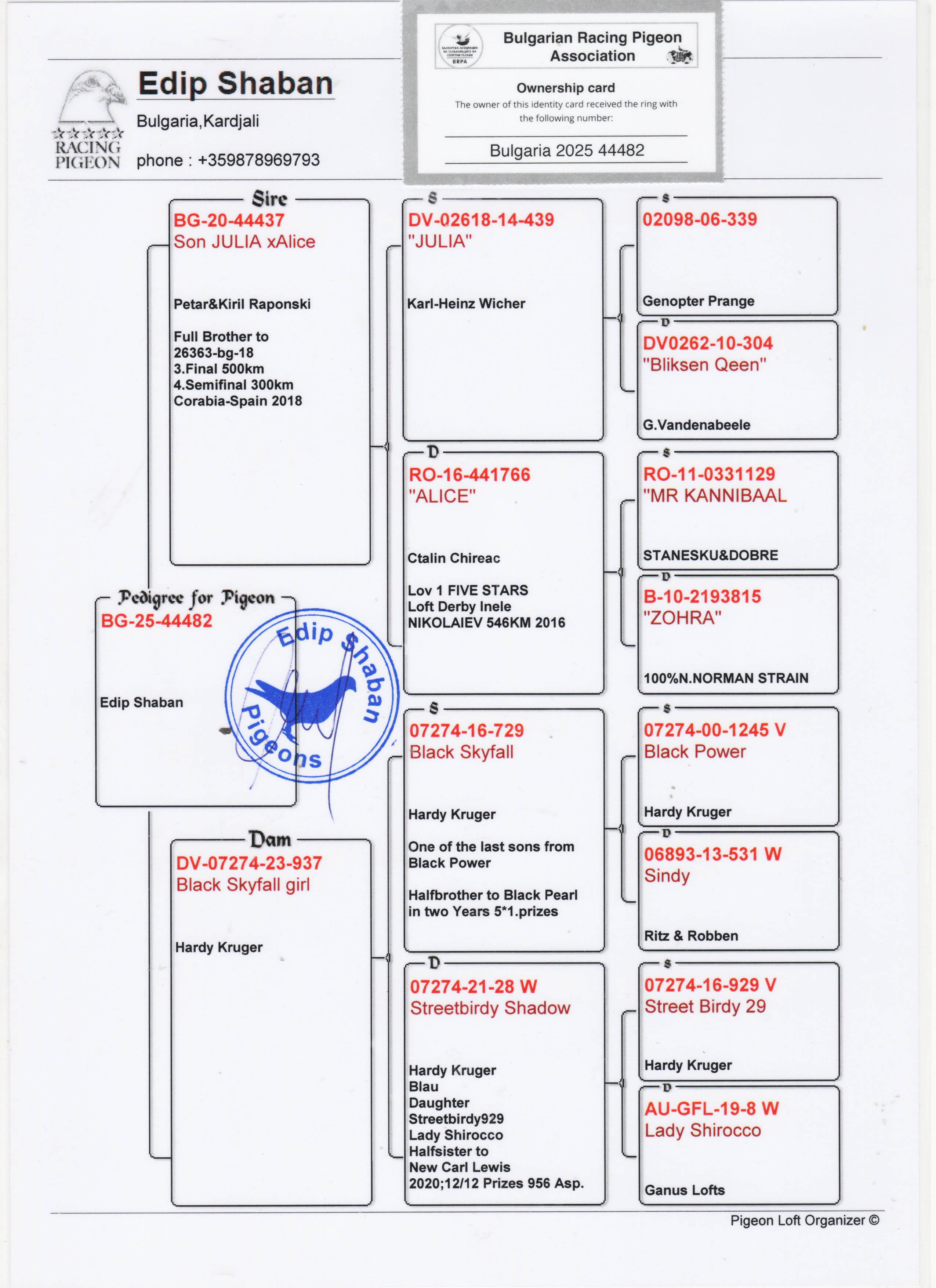 BG25-44482 DİŞİ / BABASI JULIA ANNESİ HADRY KRUGER % 100