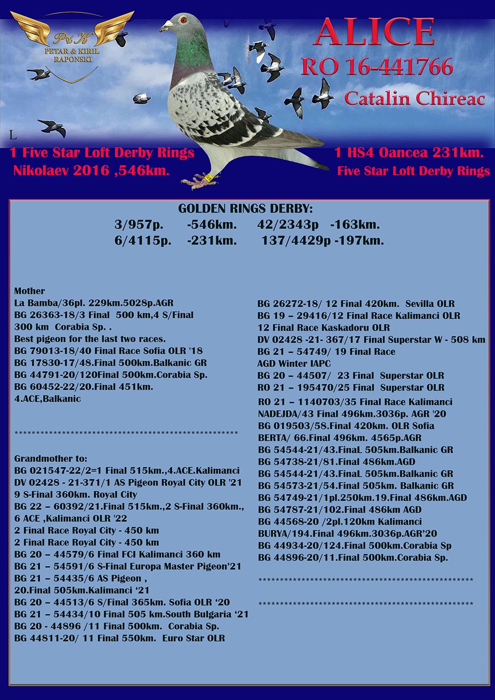 BG25-44482 DİŞİ / BABASI JULIA ANNESİ HADRY KRUGER % 100