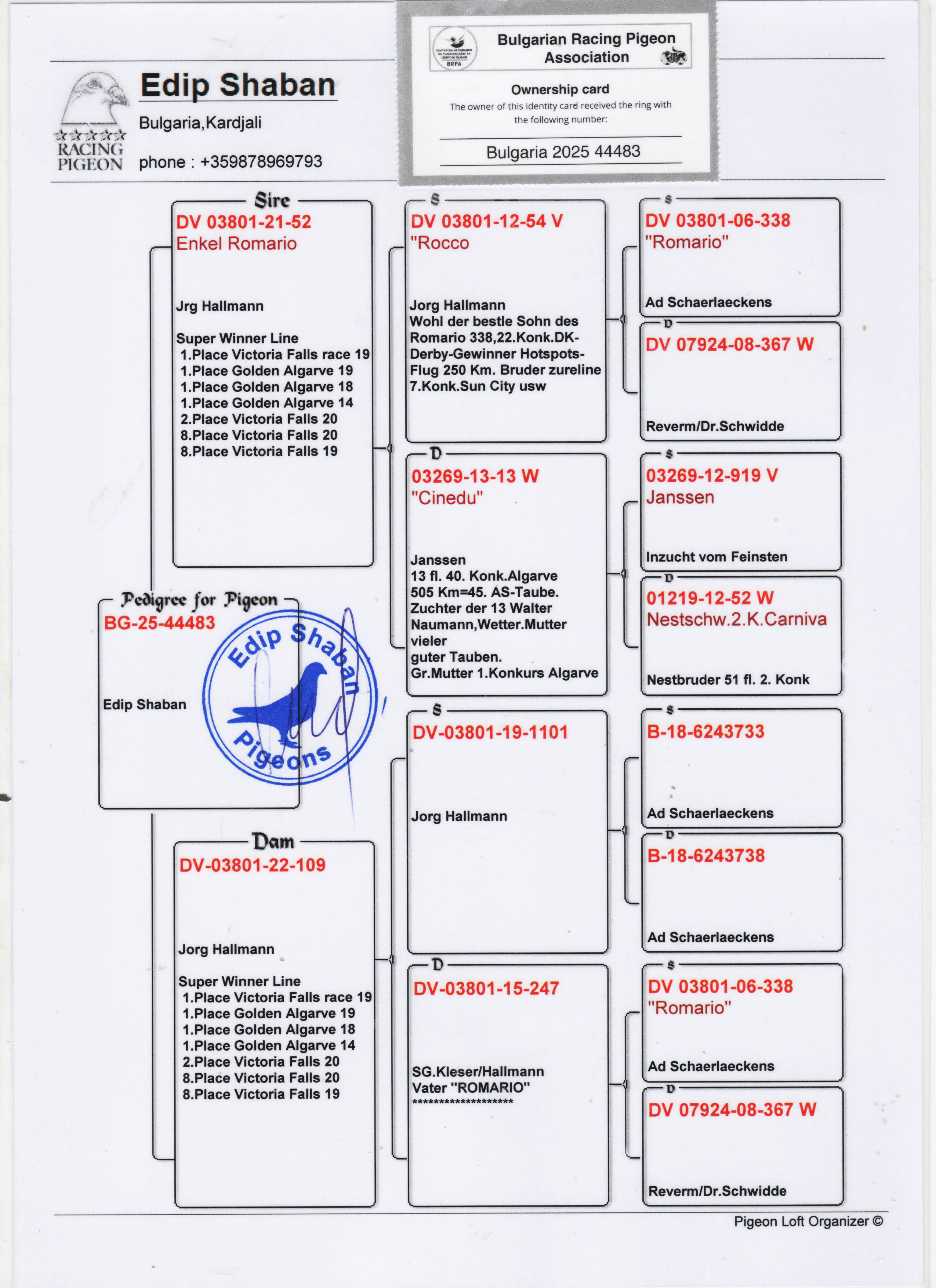 BG25-44483 ERKEK / JORG HALLMANN  % 100
