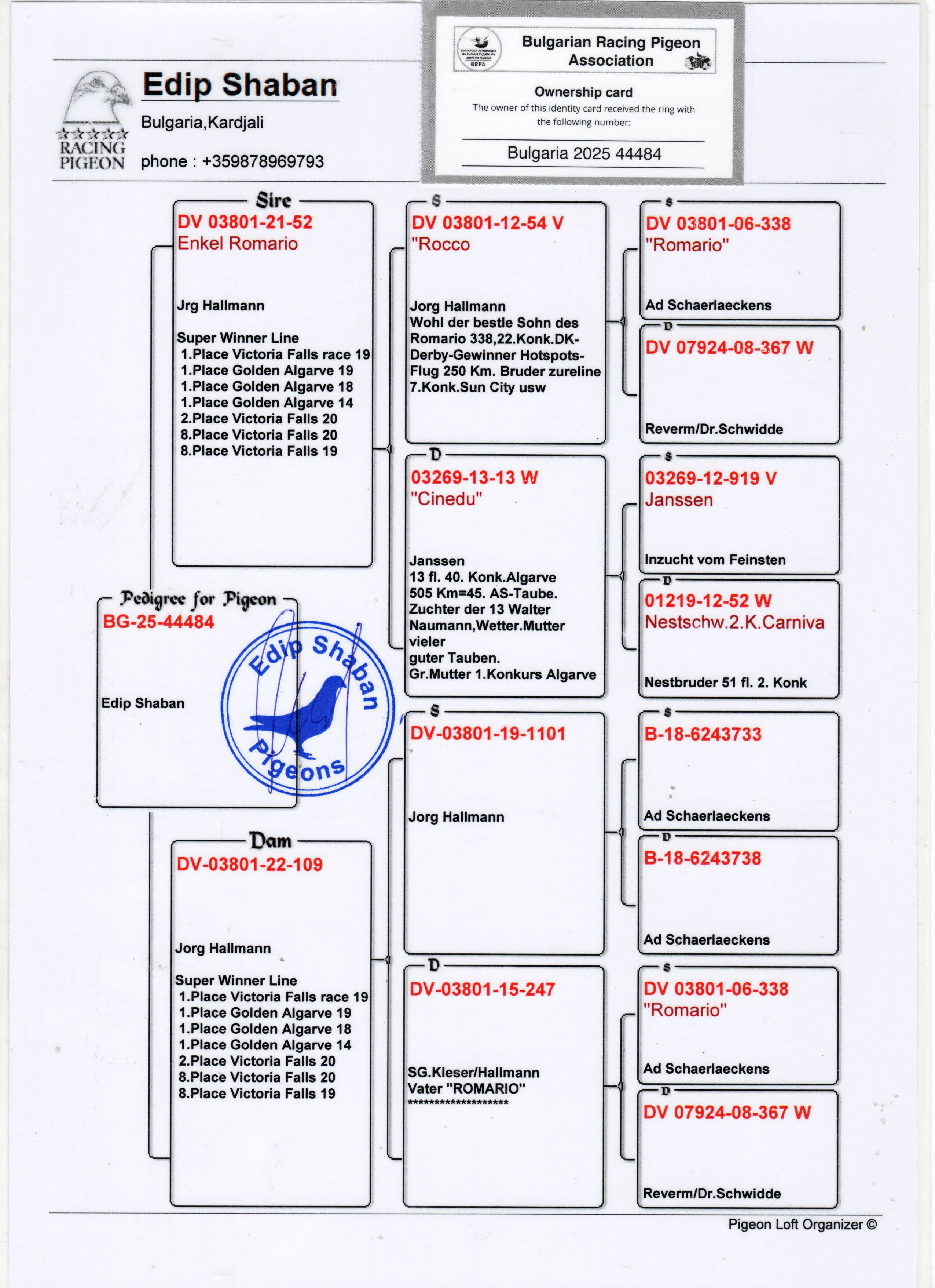BG25-44484 ERKEK / JORG HALLMANN % 100  INBREED ROMARIO 