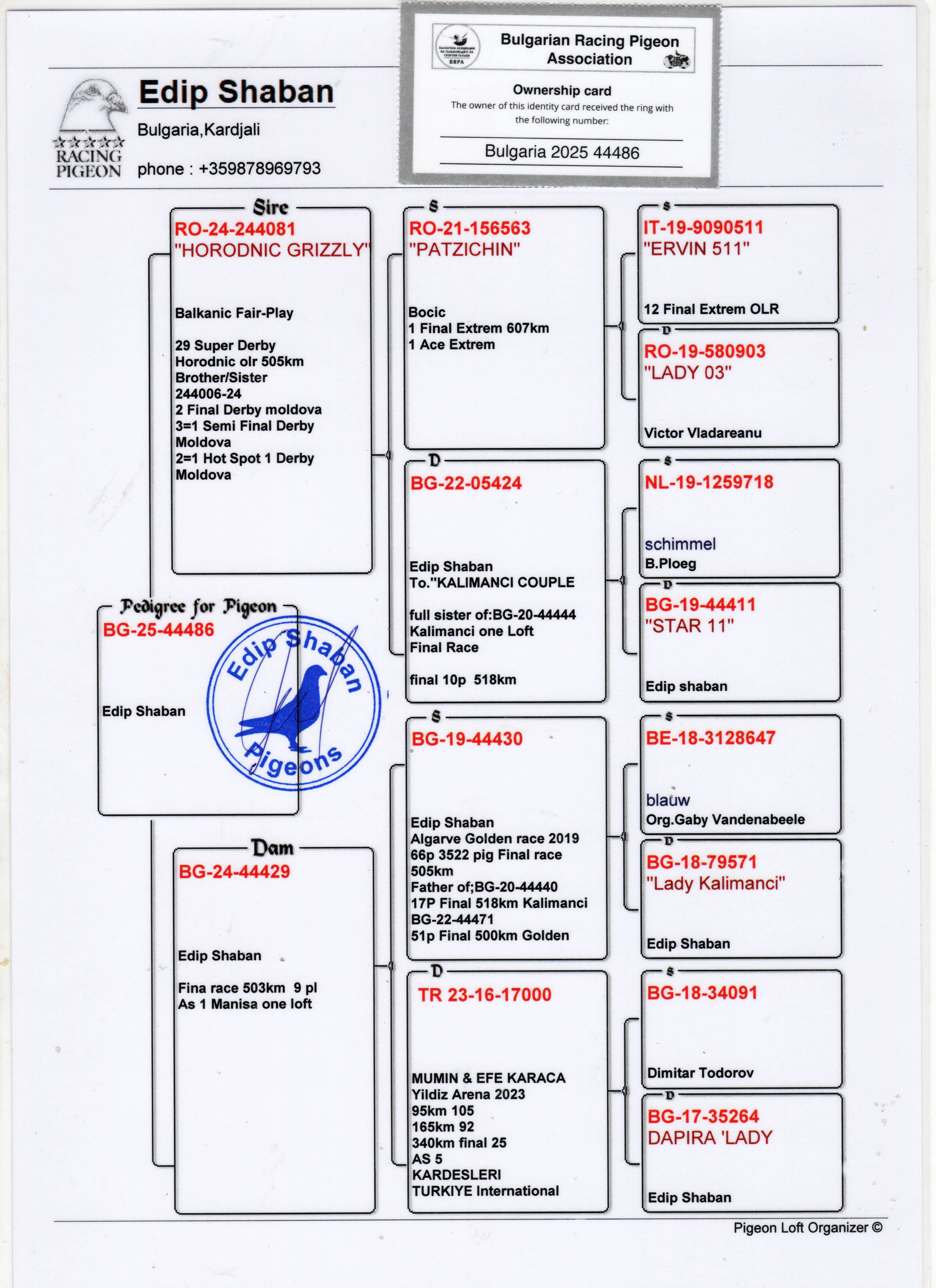 BG25-44486 ERKEK / BABADAN KARDEŞİ 5 FİNAL 553 KM FİVE STAR 2025 ANNESİ AS 1