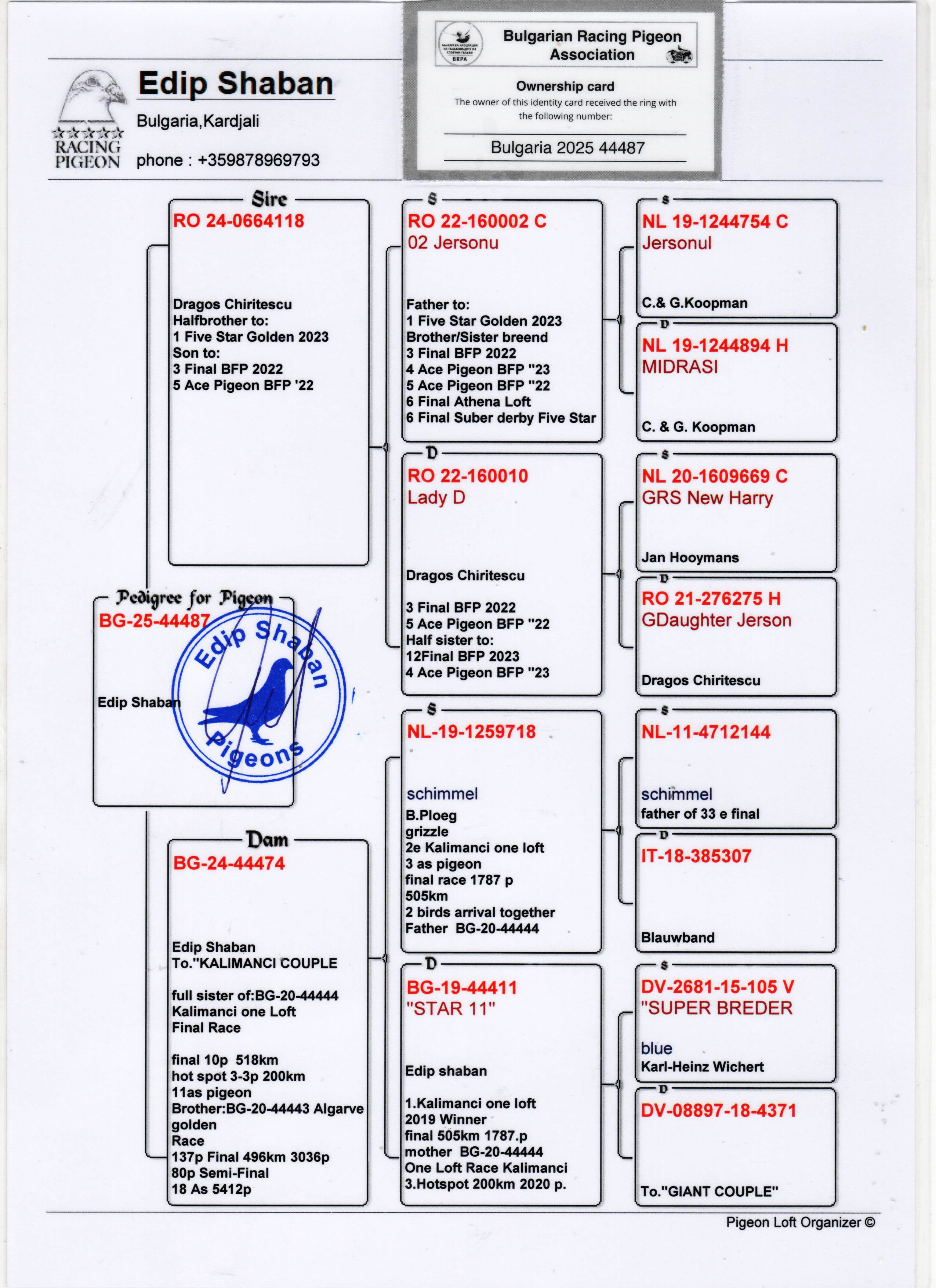 BG25-44487 DİŞİ / ANNESİ KALIMANCI COUPLE BABASI HALFBROTHER 1 FIVE STAR GOLDEN 