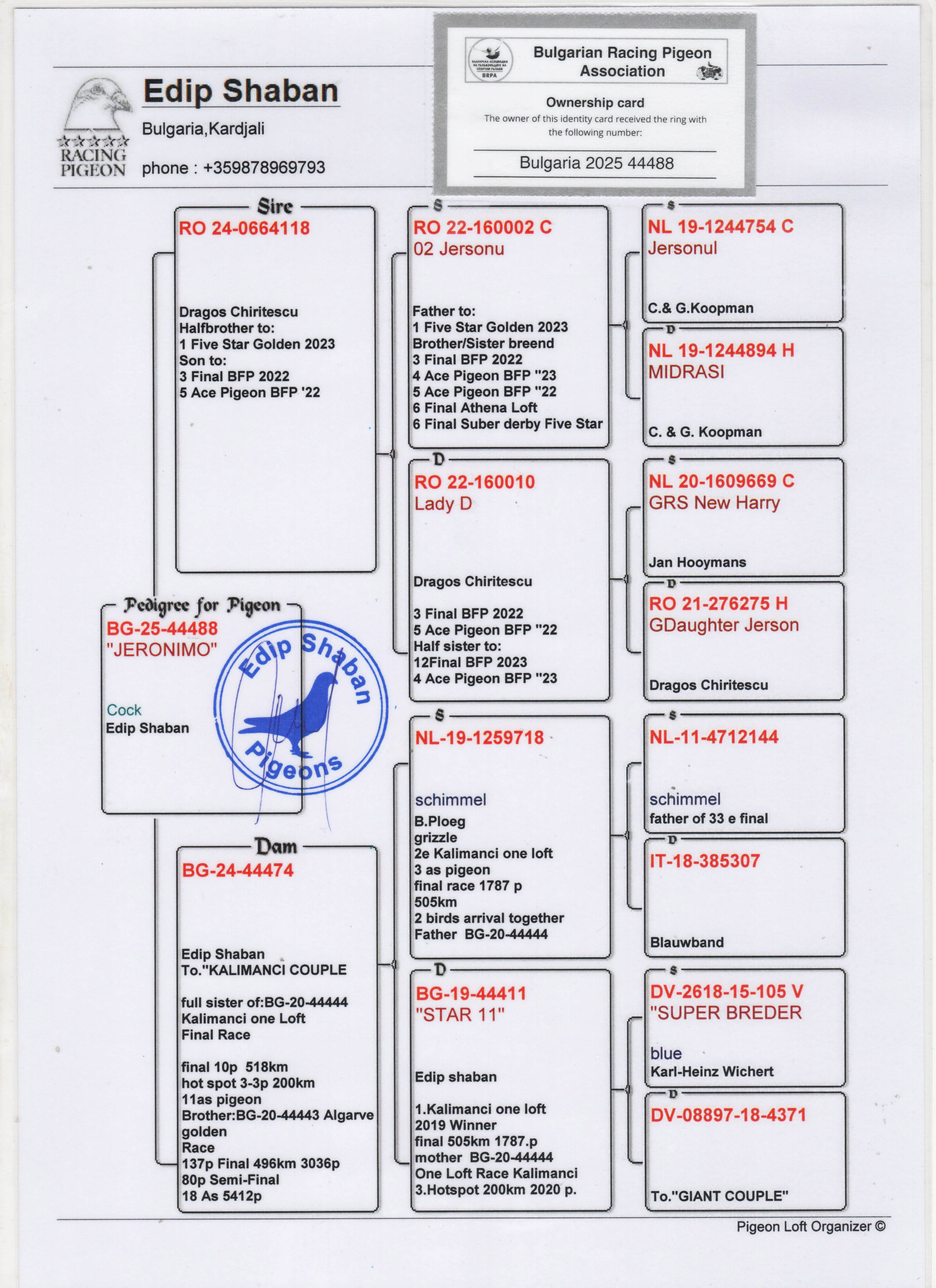 BG25-44488 ERKEK / ANNESI KALIMANCI COUPLE BABASI HALFBROTHER 1 FIVE STAR 