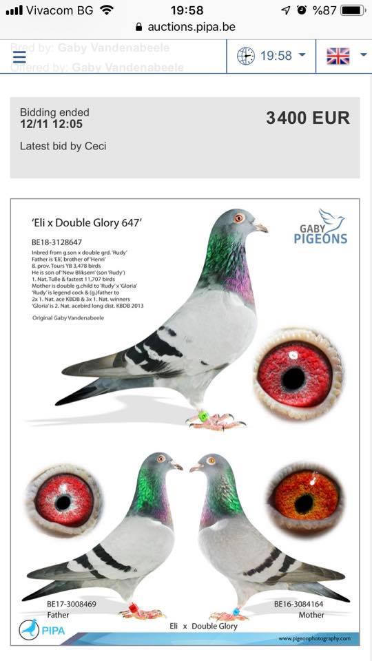 BG25-44495 ERKEK / ANNESİ 1 AS MANİSA OLR BABASI HALFBROTHER 1 FIVE STAR GOLDEN