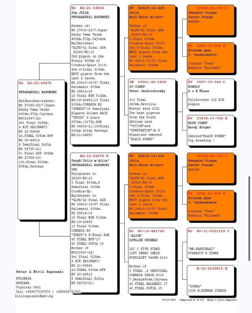BG25-65478 DIŞI / DOUBLE JULİA 