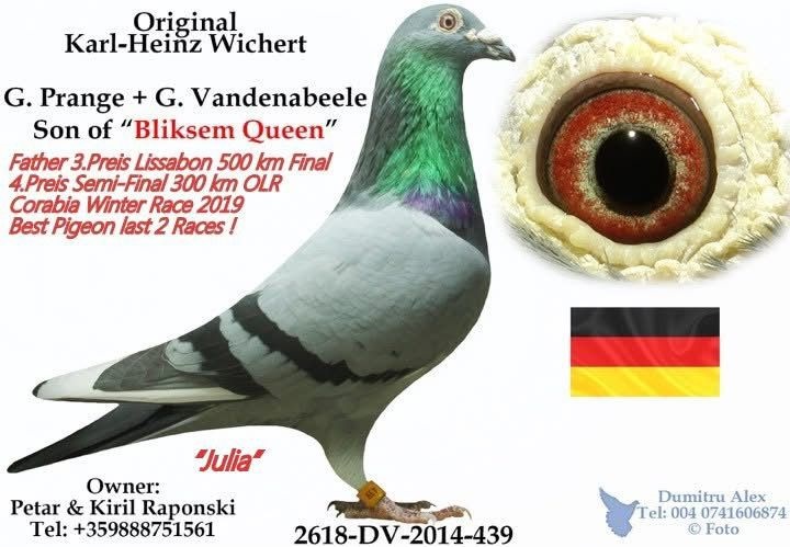 BG25-65662 ERKEK /  PETAR KIRIL & RAPONSKI - TAM KARDEŞİ 2 FİNAL & 2 ACE