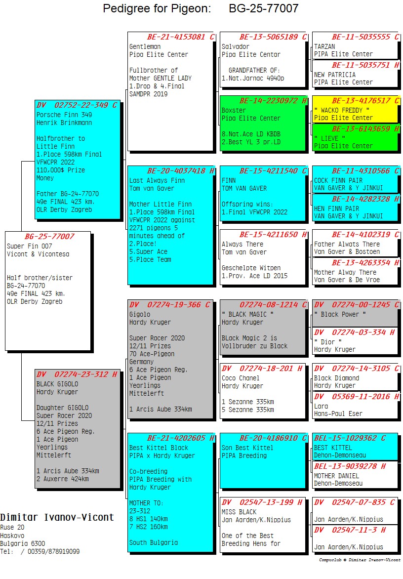 BG25-77007 ERKEK / SUPER FINN 007